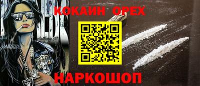 крисы Сланцы