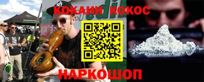 кокс Гатчина