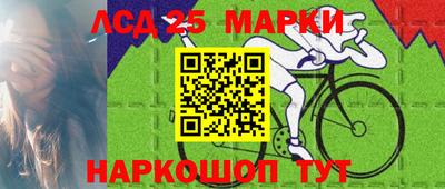 кокс Гатчина