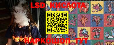 кокс Гатчина