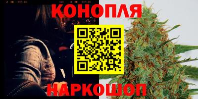 кокс Гатчина