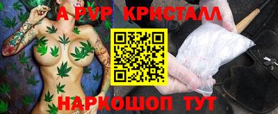 кокс Гатчина