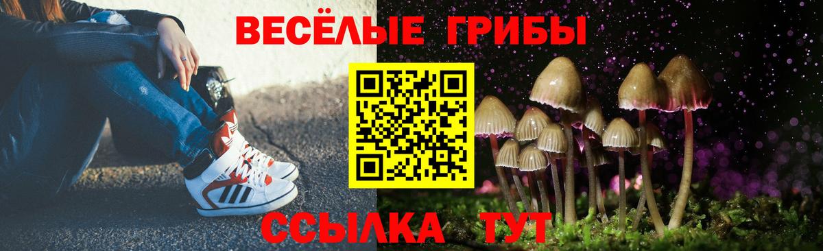 Галлюциногенные грибы ЛСД Ржев